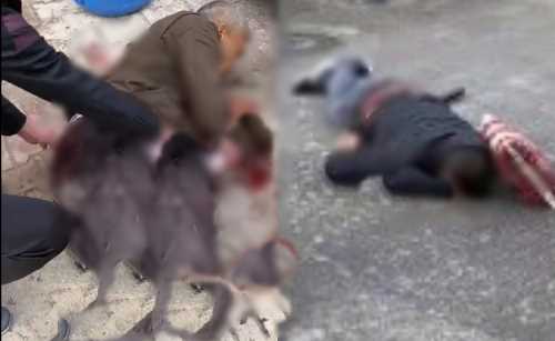 Çorum'da Abi - Kardeş kavgasında 1 ölü diğeri ağar yaralı!