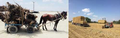 Çorum’da bitkisel atıklardan elektrik üretiliyor