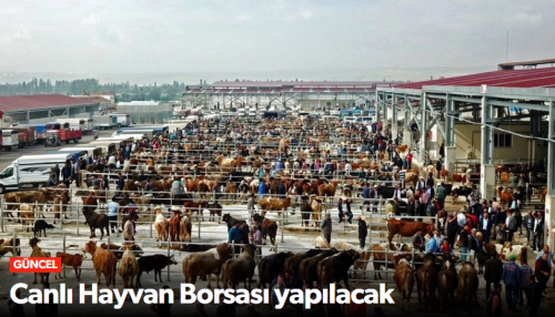 Çorum'da Canlı Hayvan Borsası yapılacak!