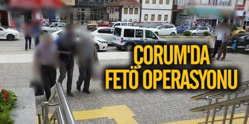 Çorum'da FETÖ operasyonu 