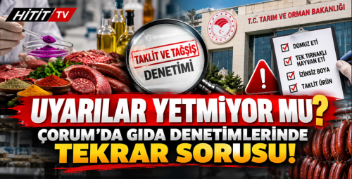 Çorum'da Gıdada Denetimlerinde  İzinsiz Boya ve Et Ürünlerinde İçerik Uygunsuzluğu Tespit Edildi! 