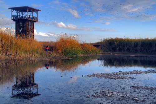 Çorum'da gölün yazı kurudu!