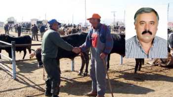 ÇORUM'DA HAYVAN PAZARI SÜRESİZ KAPATILDI