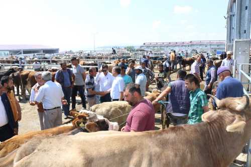 Çorum'da hayvan pazarları kapatıldı