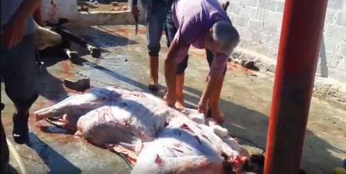 Çorum'da hijyenik kurban kesim yerleri de var