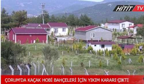 Çorum'da Hobi bahçelerine idari para cezası uygulanıyor