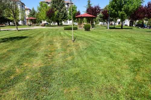 Çorum'da Mesire alanlarında İlaçlama yapıldı