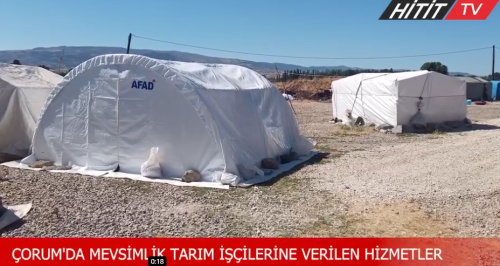 Çorum'da mevsimlik tarım işçilerine verlen hizmet 