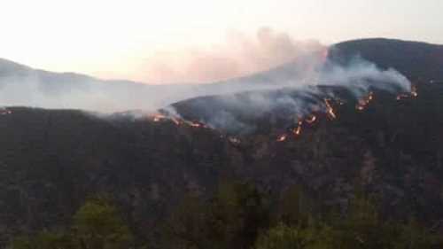 Çorum'da orman yangını çıktı. Çorum'un Osmancık ilçesinde çıkan orman yangınında 60 hektar alan zarar gördü