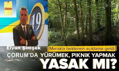 Çorum'da ormanlarda yürümek-piknik yapmak yasak mı? 