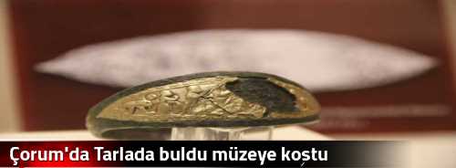 Çorum'da Tarlada buldu müzeye koştu