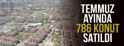 Çorum'da Temmuz ayında 786 Konut Satıldı