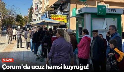 Çorum'da ucuz hamsi kuyruğu!
