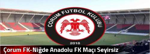 Çorum FK-Niğde Anadolu FK Maçı Seyirsiz 