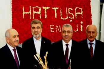 ÇORUM HATTUŞA ENERJİ (Türkiye'nin ilk 500'ünde)