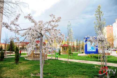 Çorum için hafta sonu durumu