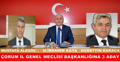 Çorum İl Genel Meclisi 1 Nisan'da seçime gidiyor
