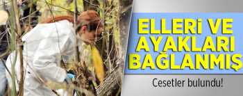 Çorum Kargı'da Ormanlık alanda iki ceset bulundu