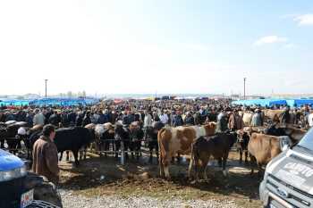 ÇORUM KURBAN KESİM YERLERİ BELİRLENDİ