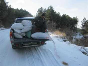 Çorum Orman ve Su işleri şubesi, Doğaya Yem bıraktı
