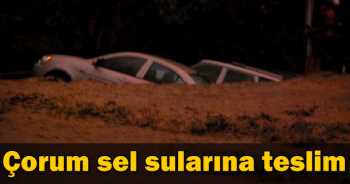 ÇORUM OSMANCIK SELE TESLİM 