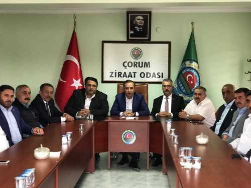 Çorum tarımı masaya yatırıldı