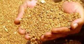 Çorum Ticaret Borsasında Ürün Fiyatları