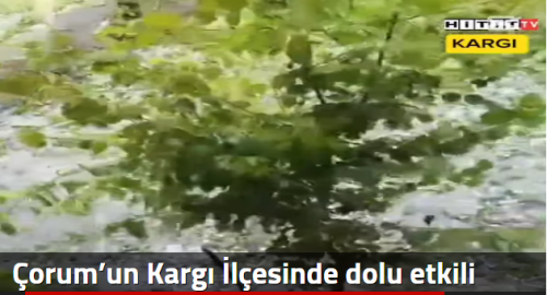 Çorum’un Kargı İlçesinde dolu etkili oldu!