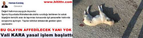 Çorum Valisi  Ahmet Kara, Osmancık'ta Vurulan Köpek Olayına El Koydu