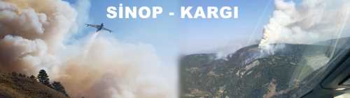 Çorum ve Sinop arasındaki ormanlık alanda yangın!