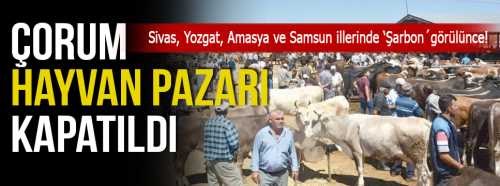 Çorumun Hayvan Pazarı 2.Emre kadar kapatıldı