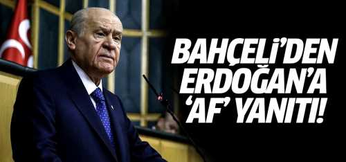 Devlet Bahçeli'den Erdoğan'a 'Af' yanıtı