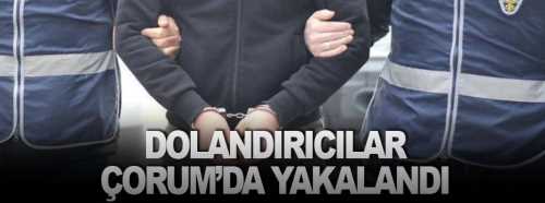 Dolandırıcılar yakayı Çorum'da ele verdi 