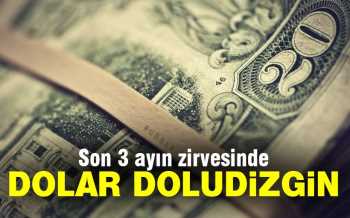 DOLAR SON  3,5 AYIN ZİRVESİNDE