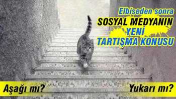 Dünya şimdi bu kediyi konuşuyor