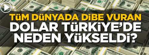 Dünyada Dibe vuran dolar neden Türkiye'de yükseldi?