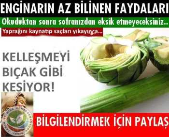 Enginarın az bilinen faydaları