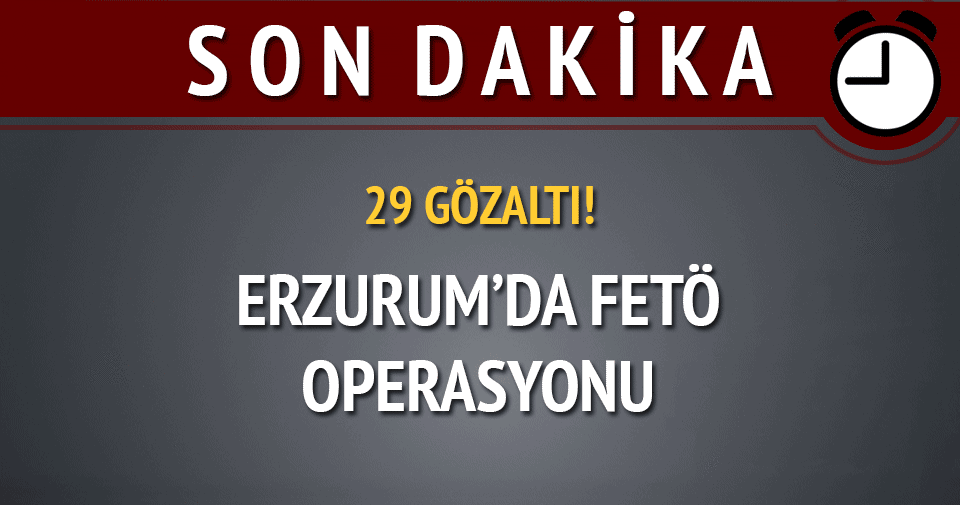 Erzurum'da FETÖ operasyonu: 29 gözaltı