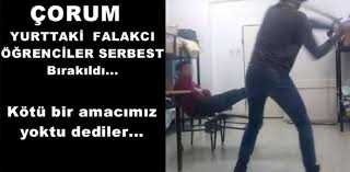 FALAKACI ÖĞRENCİLER SERBEST 