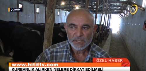 Faruk Çavuş Kurban Satışına Başladı