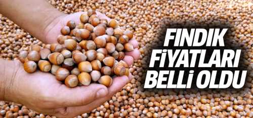 Fındık fiyatları açıklandı!