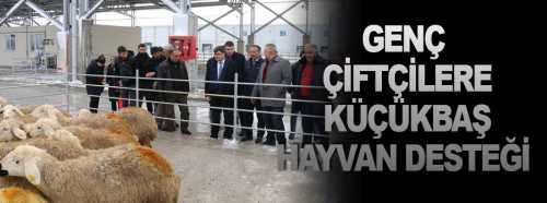Genç Çifçilere Küçükbaş Hayvan Desteği 