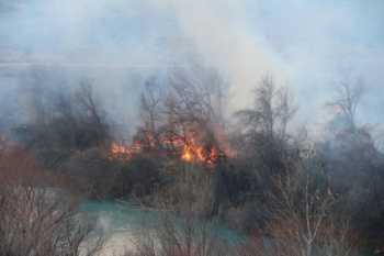 Gölünyazı sazlık alanda çıkan yangın korkuttu