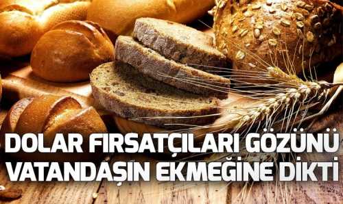 Gözünü para bürüyen fırsatçılar Ekmeğimizle oynuyorlar 