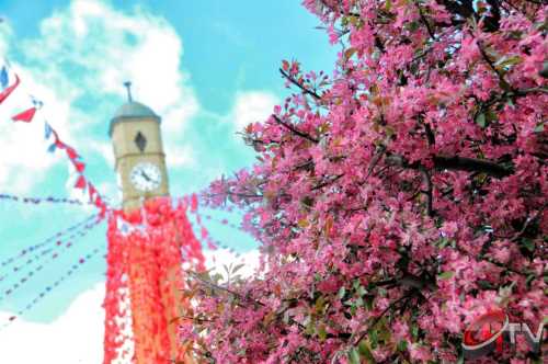 Halkoylaması sonucunu protesto etmek amacıyla, Sol ve marjinal gruplar ile terör örgütüne