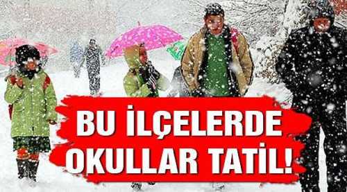 Hangi  ilçelerde okullar tatil edildi? 