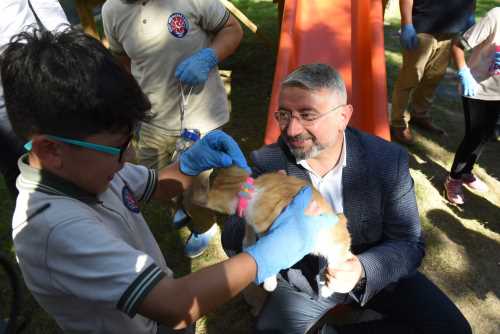 Hayvan Dostu Çorum Belediyesi Örnek Bir Yatırıma İmza Atıyor!