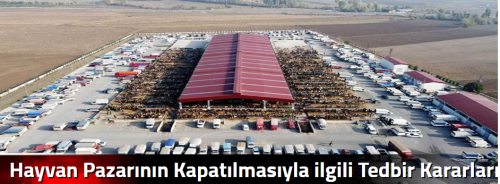 Hayvan Pazarının Kapatılmasıyla ilgili Tedbir Kararları