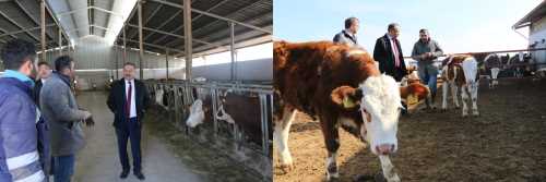 Hayvancılıkta Çorum’ u Marka Şehir Yapacağız