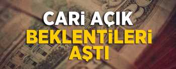 Haziran ayı cari açık 3.36 Dolar